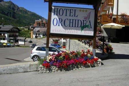 Orchidea - 12