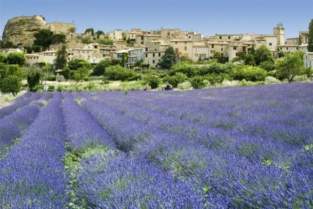 FRANCIE – JARNÍ BARVY PROVENCE - 10