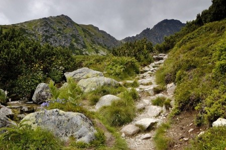 Turistika a wellness ve Vysokých Tatrách - 16