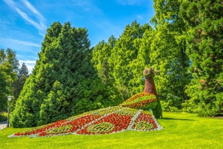 BODAMSKÉ JEZERO – MAINAU, RÝNSKÉ VODOPÁDY, LINDAU - 8