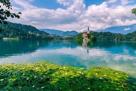 JARNÍ SLOVINSKO: POSTOJNA, JEZERO BLED A JULSKÉ ALPY - 8
