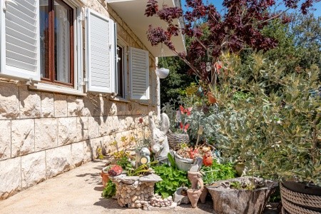 Apartmány 3298-2813