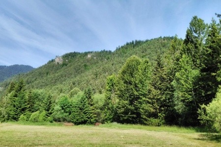 Sorea Ďumbier - 52