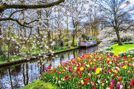 HOLANDSKO – ZEMĚ TULIPÁNŮ - 13