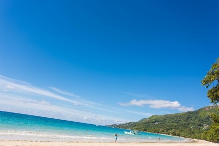 Coral Strand Smart Choice - 17