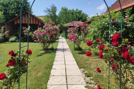Apartmány 3298-6402 - 23