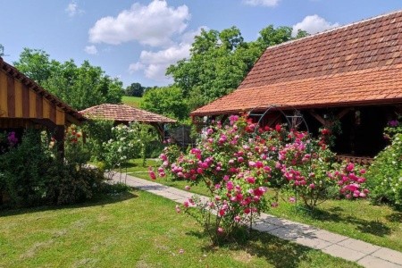 Apartmány 3298-6402 - 24