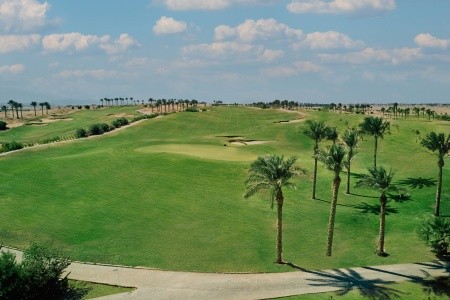 Jaz Neo Saraya Palms - 62