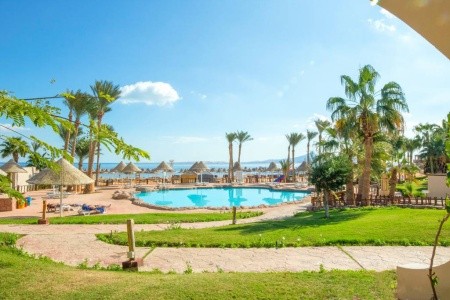 Parrotel Beach Resort - 22
