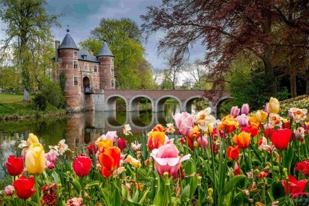 HOLANDSKO A BELGIE V KVĚTU TULIPÁNŮ