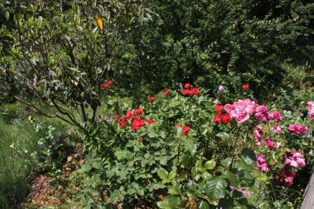 Apartmány 3298-389
