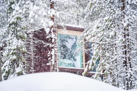 Arctic Treehouse