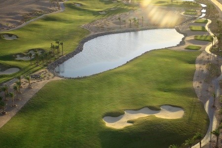 Jaz Neo Saraya Palms - 81