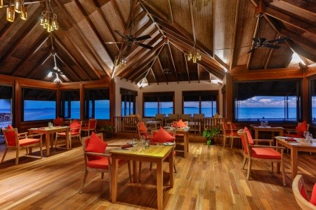 Dhigufaru Island Resort - 8