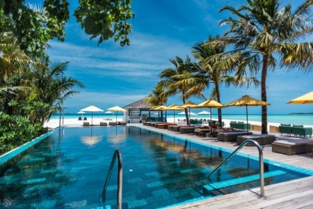 Dhigufaru Island Resort - 10