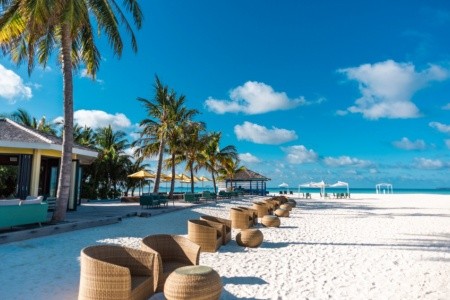 Dhigufaru Island Resort - 11