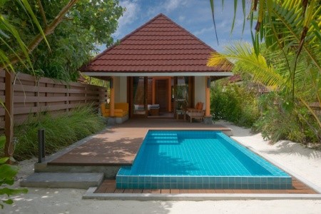 Dhigufaru Island Resort - 21