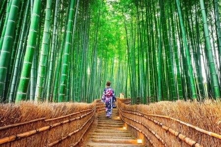Japán Körút - Fuji Árnyéka, Bambuszerdők Titka