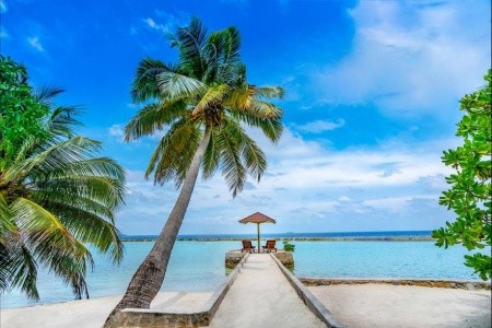 Maldivy Atol Ari Ellaidhoo Maldives By Cinnamon 15 dňový pobyt All Inclusive Letecky Letisko: Praha November 2026 (23/11/26- 7/12/26)