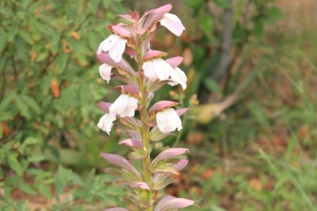 Apartmány 3298-1764