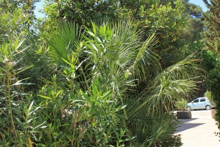 Pokoje 3298-641 - 3