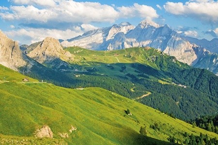 Bellamonte