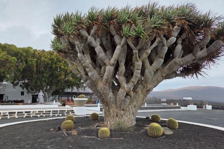 Klenoty Lanzarote a Fueventury letecky z Bratislavy - 1