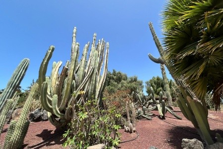 Klenoty Lanzarote a Fueventury letecky z Prahy