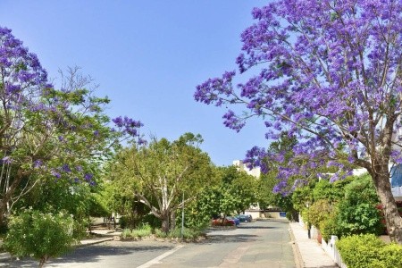 Paphos Gardens Holiday Resort - 9