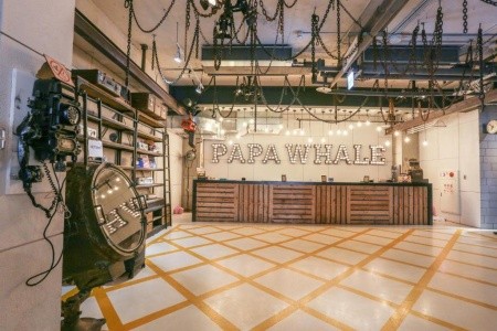 Hotel Papa Whale
