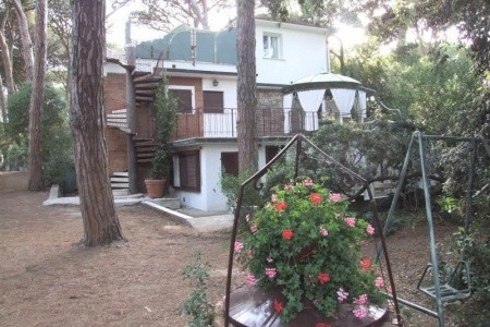 Pineta - 4