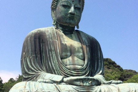 Japonské jaro pod sakurami
