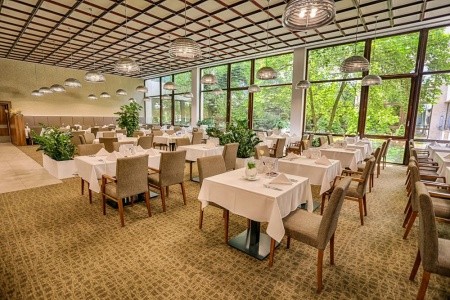 Ensana Esplanade Health Spa (Ex Danubius Health Spa Resort) - 5