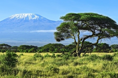 A Kilimandzsáró Árnyékában – Szafari És Pihenés Kenyában Magyar Idegenvezetővel – 2027.01.20-30.