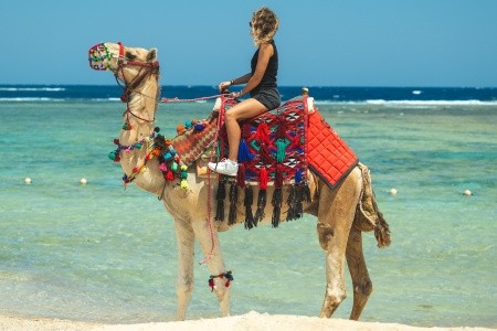 Acel Beach Resort (Ex. Pensee Beach Resort) - 4