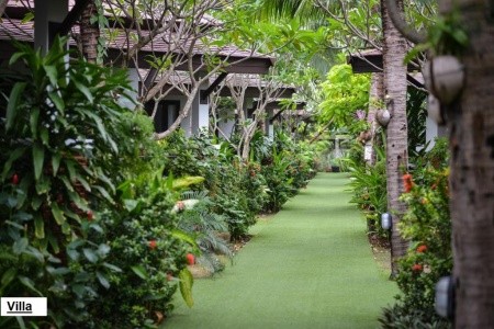 Phangan Bayshore Resort