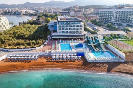 Lonicera West (Ex.gold Island Mondo) - 3