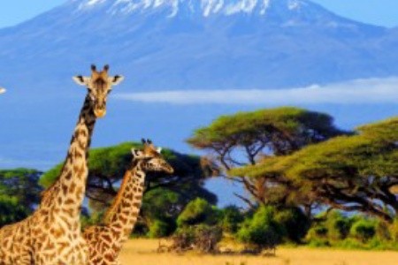 Kalandozás Kenyában – az afrikai szafaritól a trópusi tengerpartokig