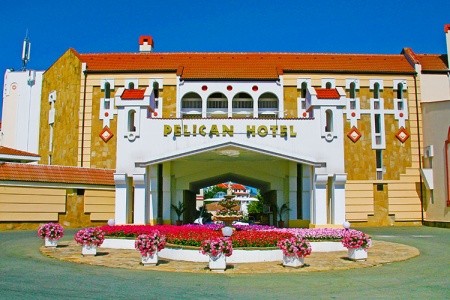 Pelican - 5
