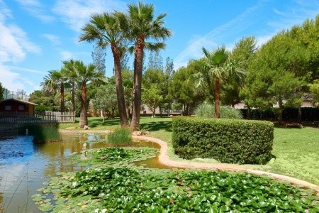 Marfil Playa - 4