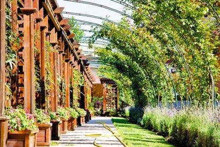 Trakia Plaza - 3