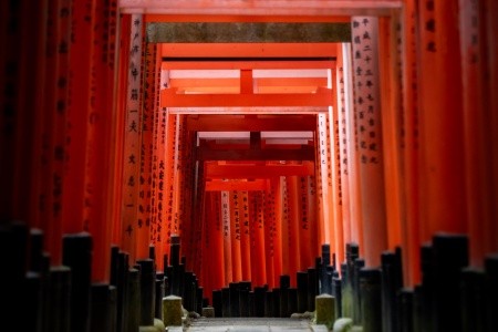 Japonsko S Profesionálním Fotografem - 4