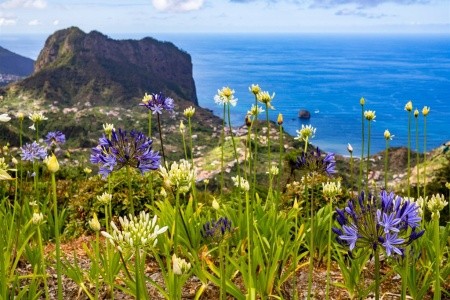 MADEIRA – EXOTICKÝ RÁJ - 4