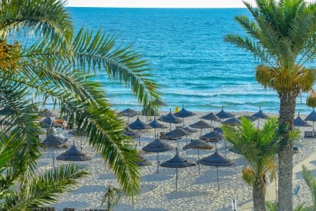Riadh Palms Resort & Spa - 5