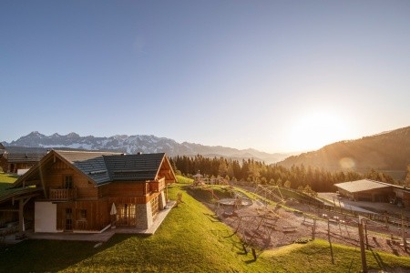 Almhotel Edelweiss (Pichl) - 3