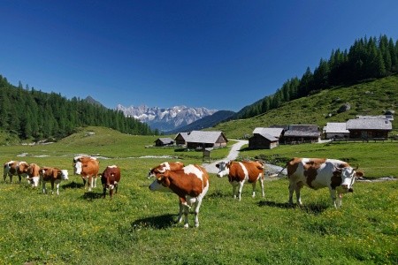 Gut Raunerhof - 4