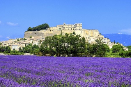 Levandulová vůně francouzské Provence - 3