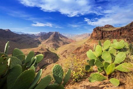 KANÁRSKÉ OSTROVY – GRAN CANARIA - 3