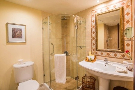 Grand Excelsior - 9