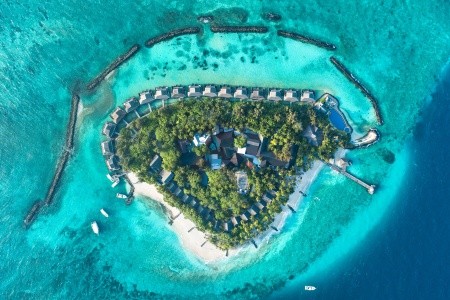 Taj Coral Reef Resort & Spa (Henbadhoo) - 2